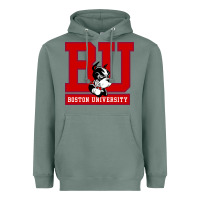 Sage boston university terriers Heavyweight Hoodie - artisFamous
