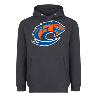 Smoke clayton state loch orange Heavyweight Hoodie - artisFamous