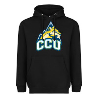 Black colorado christian Heavyweight Hoodie - artisFamous