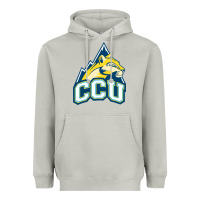 Moon Dust colorado christian Heavyweight Hoodie - artisFamous