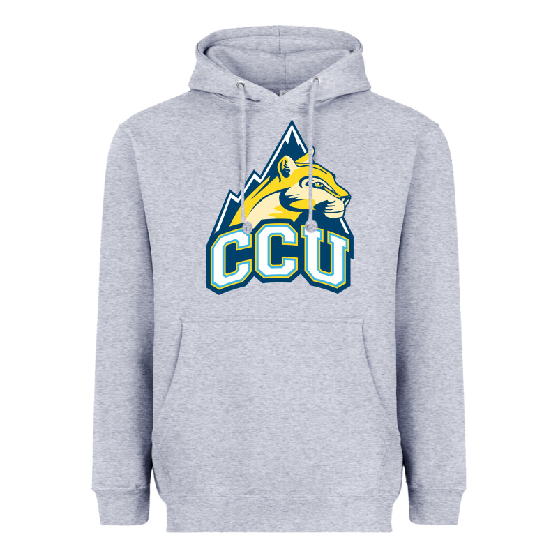 Colorado Christian Heavyweight Hoodie by artisFamous | Teevron