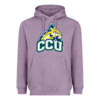 Lavender colorado christian Heavyweight Hoodie - artisFamous