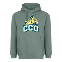 Sage colorado christian Heavyweight Hoodie - artisFamous