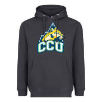 Smoke colorado christian Heavyweight Hoodie - artisFamous