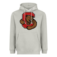 Moon Dust cornell big red Heavyweight Hoodie - artisFamous