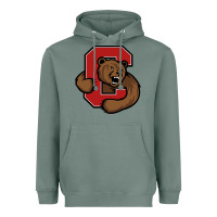 Sage cornell big red Heavyweight Hoodie - artisFamous