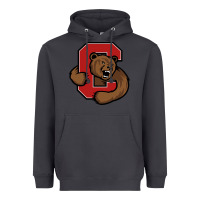 Smoke cornell big red Heavyweight Hoodie - artisFamous