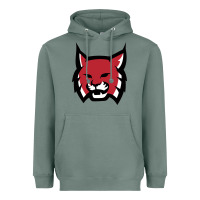 Sage Rhodes College Athletic Heavyweight Hoodie - artisFamous