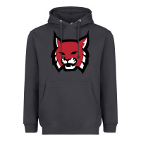 Smoke Rhodes College Athletic Heavyweight Hoodie - artisFamous