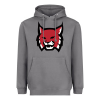 Storm Rhodes College Athletic Heavyweight Hoodie - artisFamous