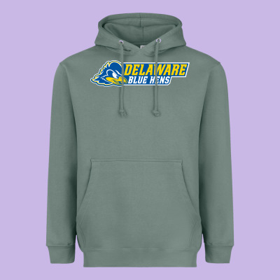 Delaware Fightin' Blue Hens Heavyweight Hoodie Designed By Artisfamous