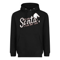 Black Dear Santa I Can Explain Heavyweight Hoodie - artisFamous