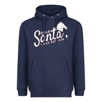 Navy Dear Santa I Can Explain Heavyweight Hoodie - artisFamous