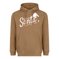 Toasted Coconut Dear Santa I Can Explain Heavyweight Hoodie - artisFamous