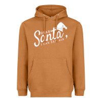 Meerkat Dear Santa I Can Explain Heavyweight Hoodie - artisFamous