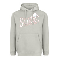 Moon Dust Dear Santa I Can Explain Heavyweight Hoodie - artisFamous