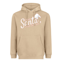 Mushroom Dear Santa I Can Explain Heavyweight Hoodie - artisFamous