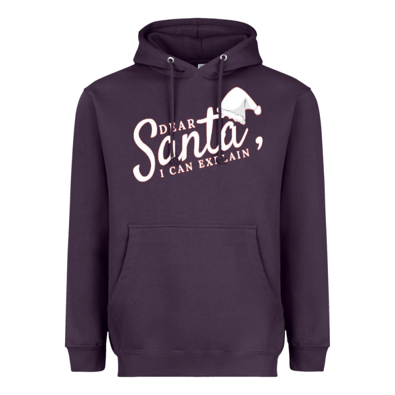 Dear Santa I Can Explain Heavyweight Hoodie by artisFamous | Teevron