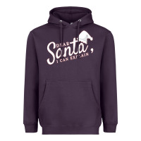 Plum Dear Santa I Can Explain Heavyweight Hoodie - artisFamous
