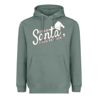 Sage Dear Santa I Can Explain Heavyweight Hoodie - artisFamous