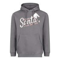 Storm Dear Santa I Can Explain Heavyweight Hoodie - artisFamous