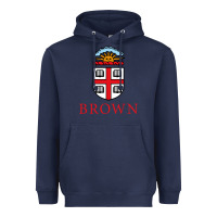 Navy brown university Heavyweight Hoodie - artisFamous