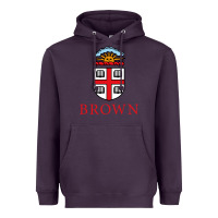 Plum brown university Heavyweight Hoodie - artisFamous