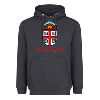 Smoke brown university Heavyweight Hoodie - artisFamous