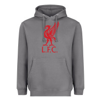 Storm l f c Heavyweight Hoodie - artisFamous