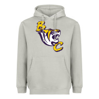 Moon Dust Benedict Gift Art Heavyweight Hoodie - artisFamous