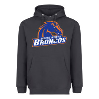 Smoke Boise Design Heavyweight Hoodie - artisFamous