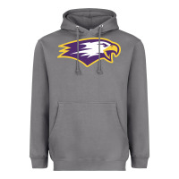 Storm elmira college Heavyweight Hoodie - artisFamous