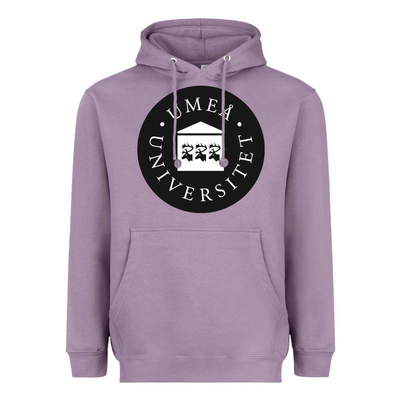 Umeå University Heavyweight Hoodie by artisFamous | Teevron