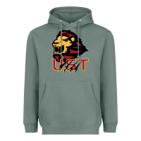 Sage university of saint thomas spirit Heavyweight Hoodie - artisFamous