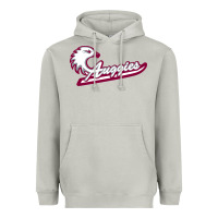 Moon Dust augsburg university Heavyweight Hoodie - artisFamous