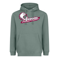 Sage augsburg university Heavyweight Hoodie - artisFamous