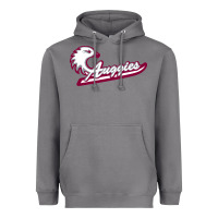 Storm augsburg university Heavyweight Hoodie - artisFamous