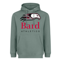 Sage bard college athletics Heavyweight Hoodie - artisFamous