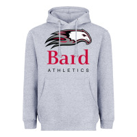 Heather Grey bard college athletics Heavyweight Hoodie - artisFamous