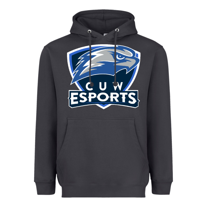 Concordia University Wisconsin Heavyweight Hoodie by artisFamous | Teevron