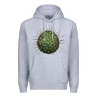 Heather Grey arizona fishhook cactus Premium Hoodie - LillyAllenDesigns