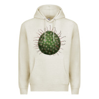 Oatmeal Heather arizona fishhook cactus Premium Hoodie - LillyAllenDesigns
