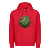 Red arizona fishhook cactus Premium Hoodie - LillyAllenDesigns