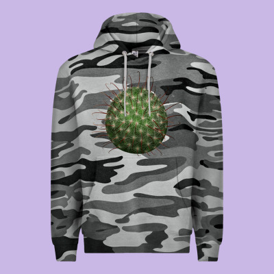 Arizona Fishhook Cactus Premium Hoodie Designed By Lillyallendesigns