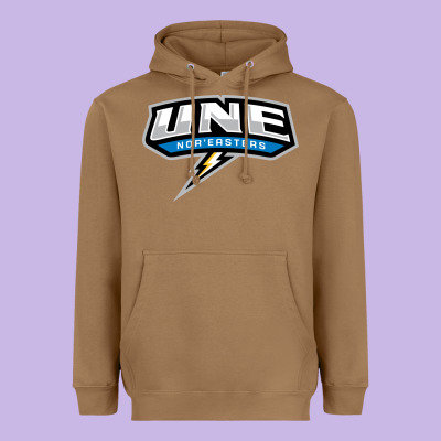 New England University Heavyweight Hoodie Designed By Artisfamous