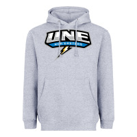 Heather Grey new england university Heavyweight Hoodie - artisFamous