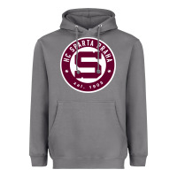 Storm hc sparta praha Heavyweight Hoodie - artisFamous
