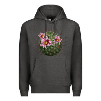 Charcoal Heather arizona fishhook cactus Premium Hoodie - LillyAllenDesigns