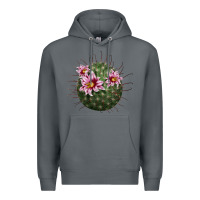 Rock arizona fishhook cactus Premium Hoodie - LillyAllenDesigns