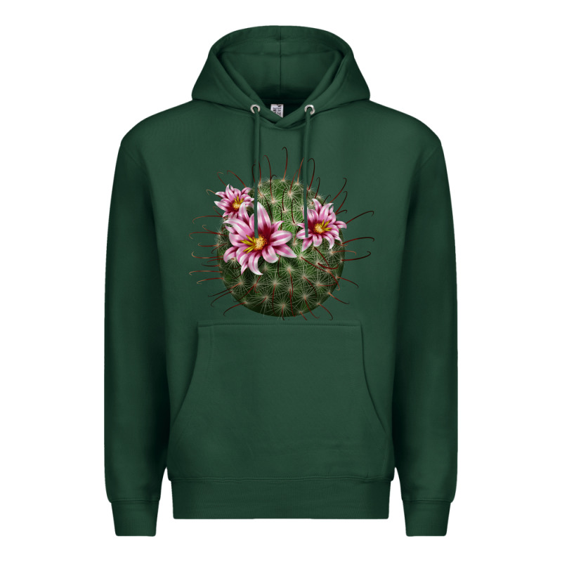 Arizona Fishhook Cactus Premium Hoodie by LillyAllenDesigns | Teevron